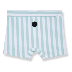 1+ in the family - Morell Striped Swim Shorts | Almond green