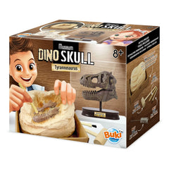 Buki - Arkeoloji seti - Müze Dino Kafatası