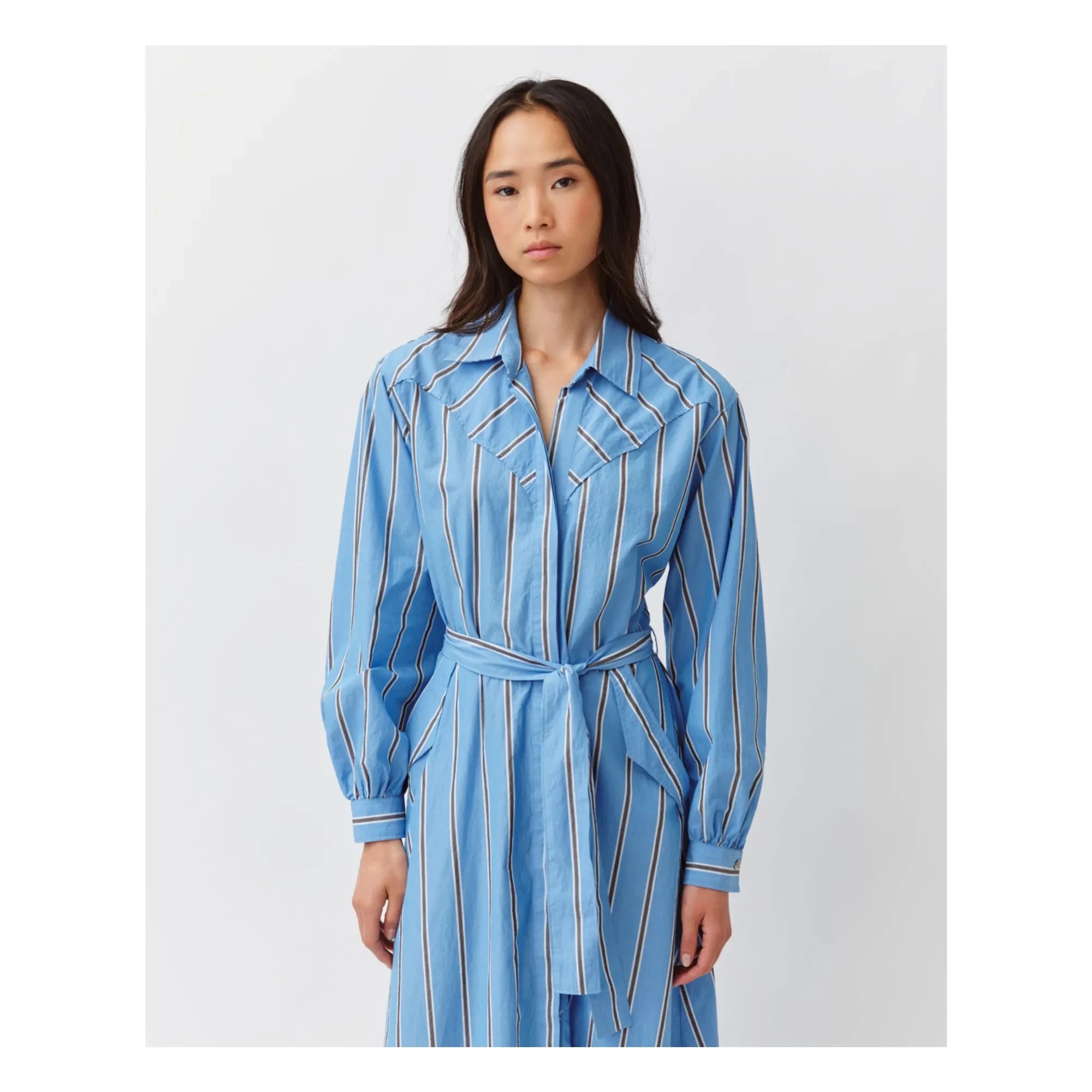 Diega - Ravia Kleid | Blau