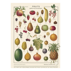 Les Jolies Planches - Fruit Posters