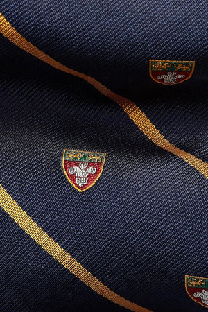Polo Ralph Lauren Erkek İpek Kravat