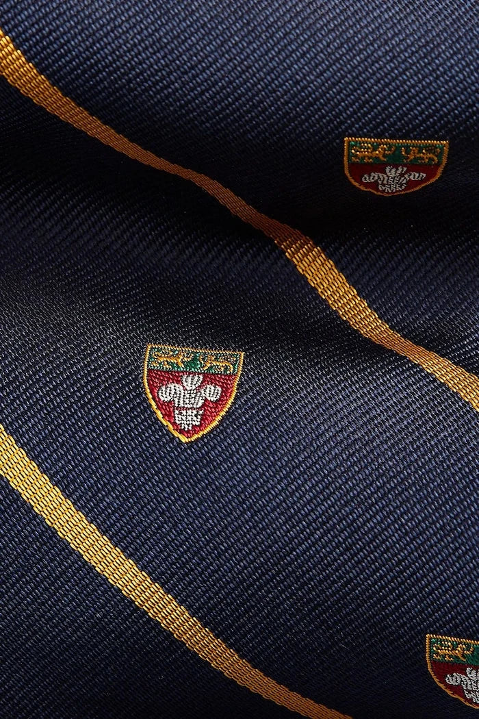 Polo Ralph Lauren Erkek İpek Kravat