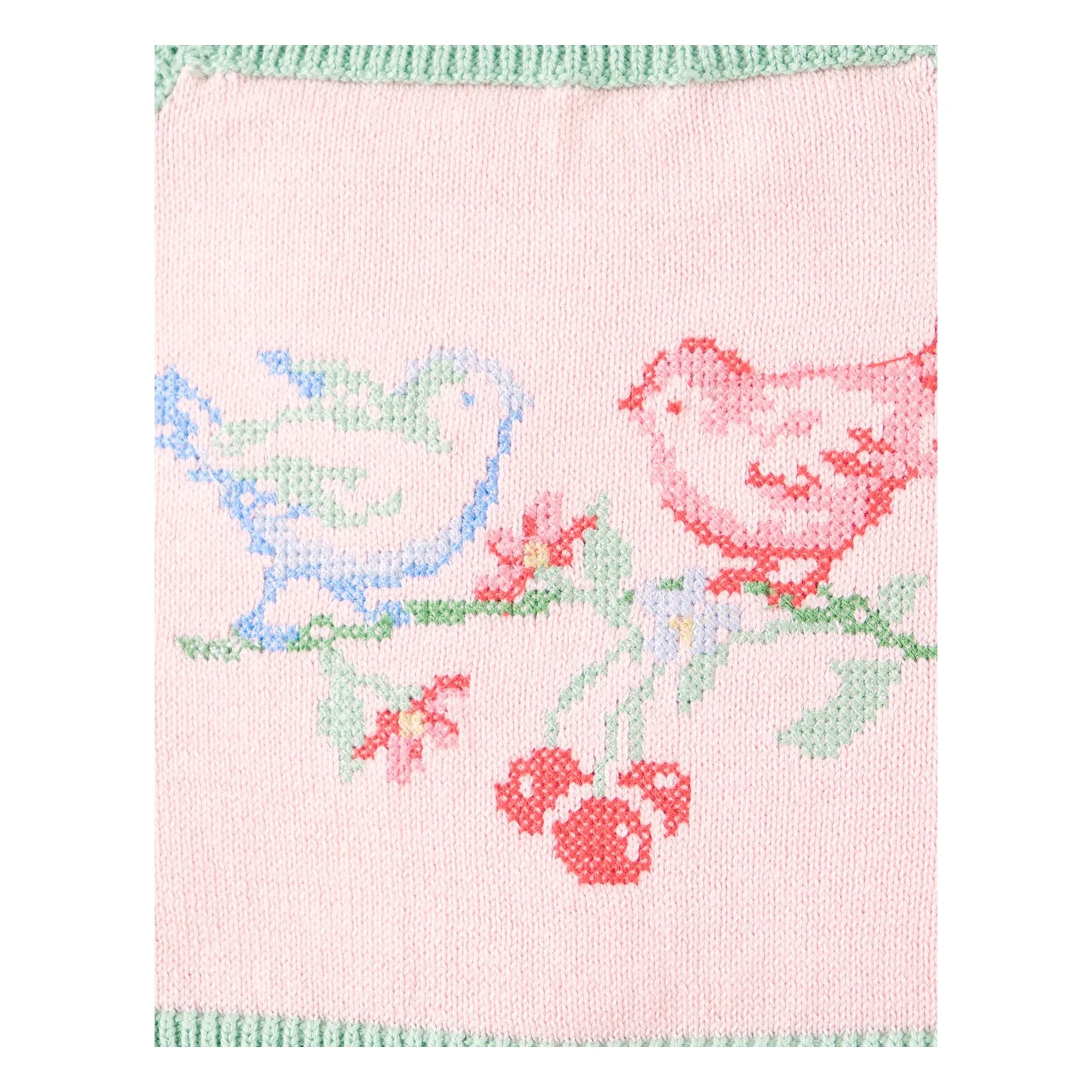 Gingersnaps - Pale Pink | Rose Embroidered Tulle Crop Top