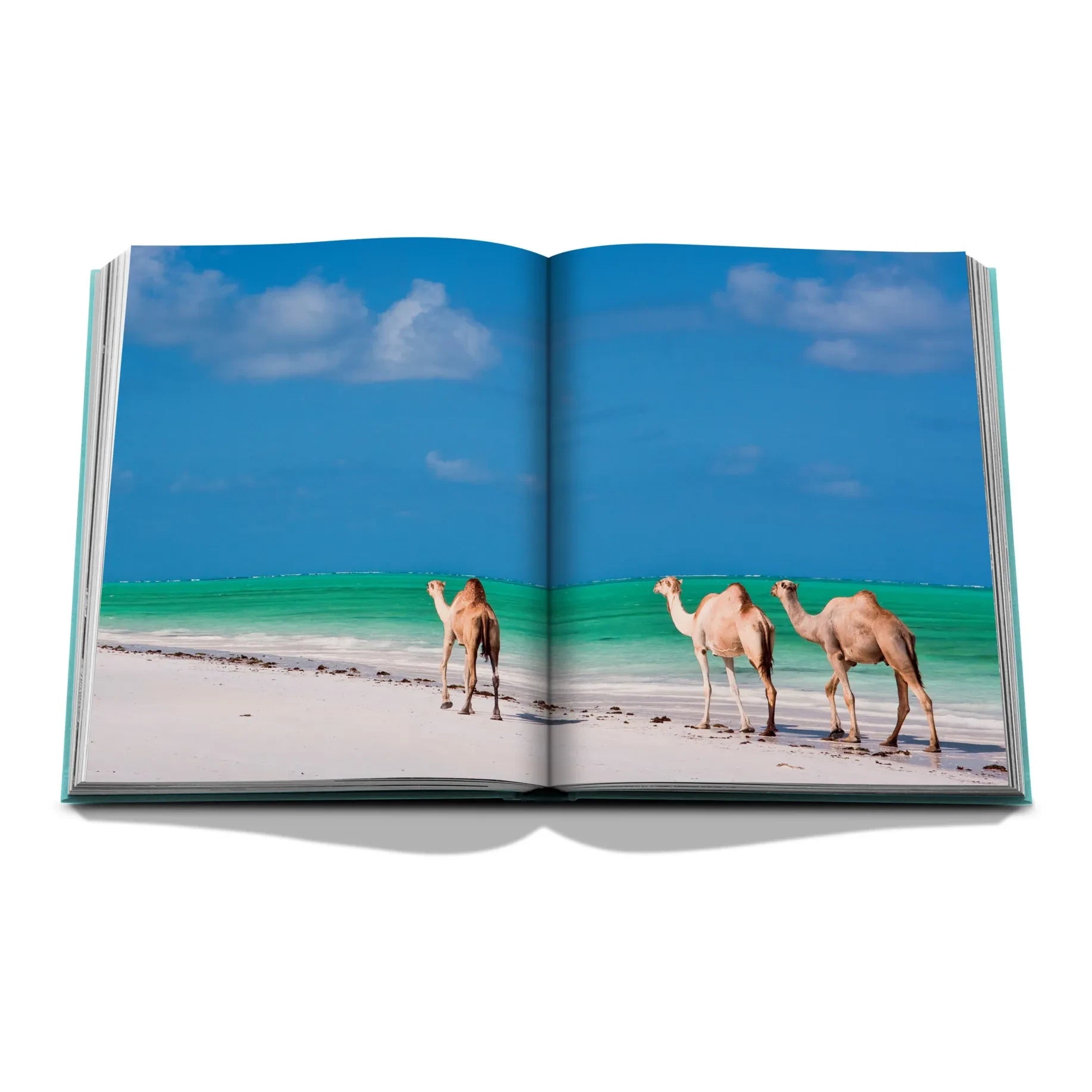 Assouline - Red Sea: Saudi Coast