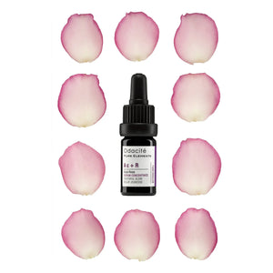 Odacité - Ac+R Acai + Rose Gençlik Işıltısı Serum Konsantresi