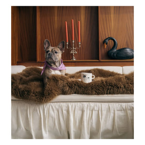 Anna + Nina - Bulldog Kupa