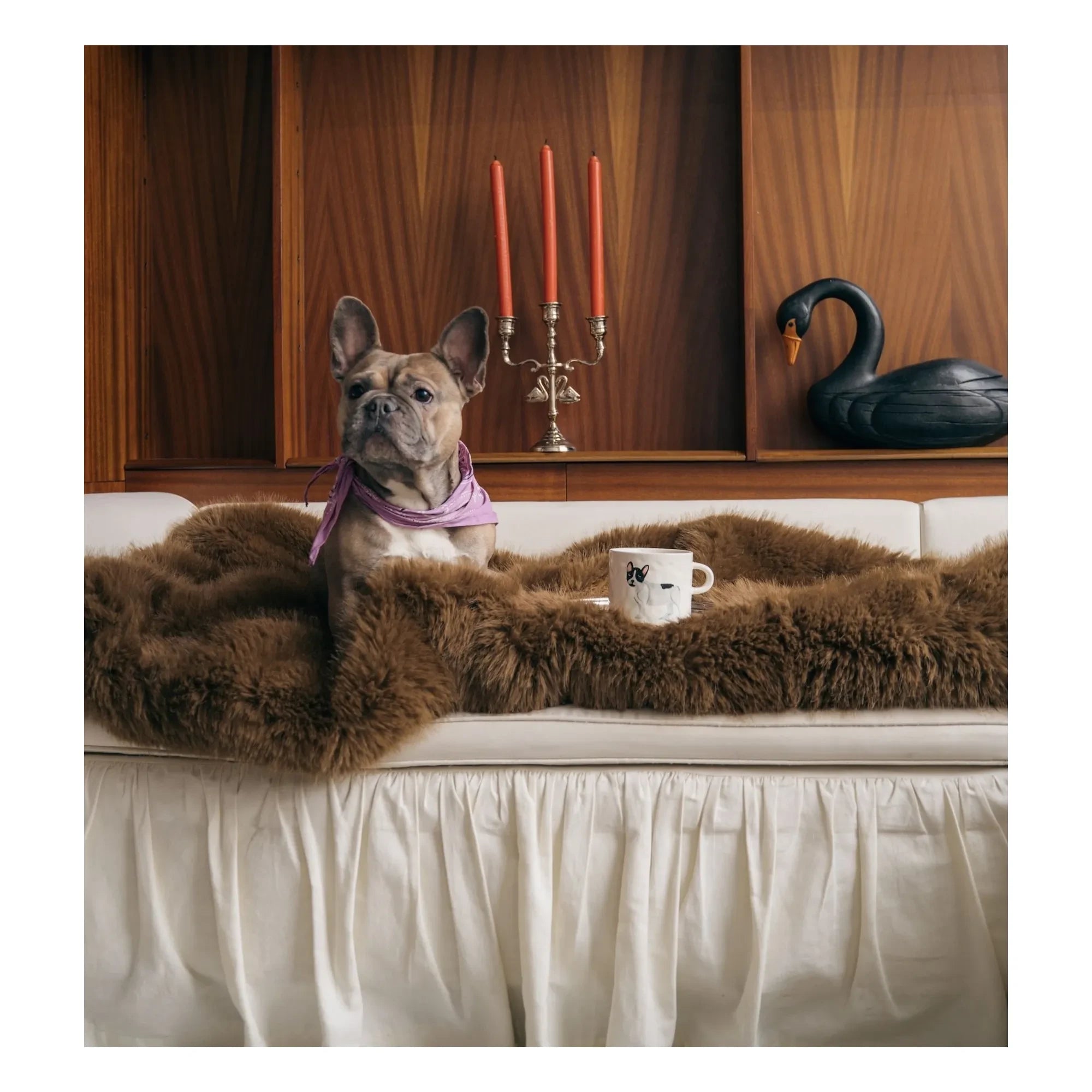 Anna + Nina - Bulldog Kupa