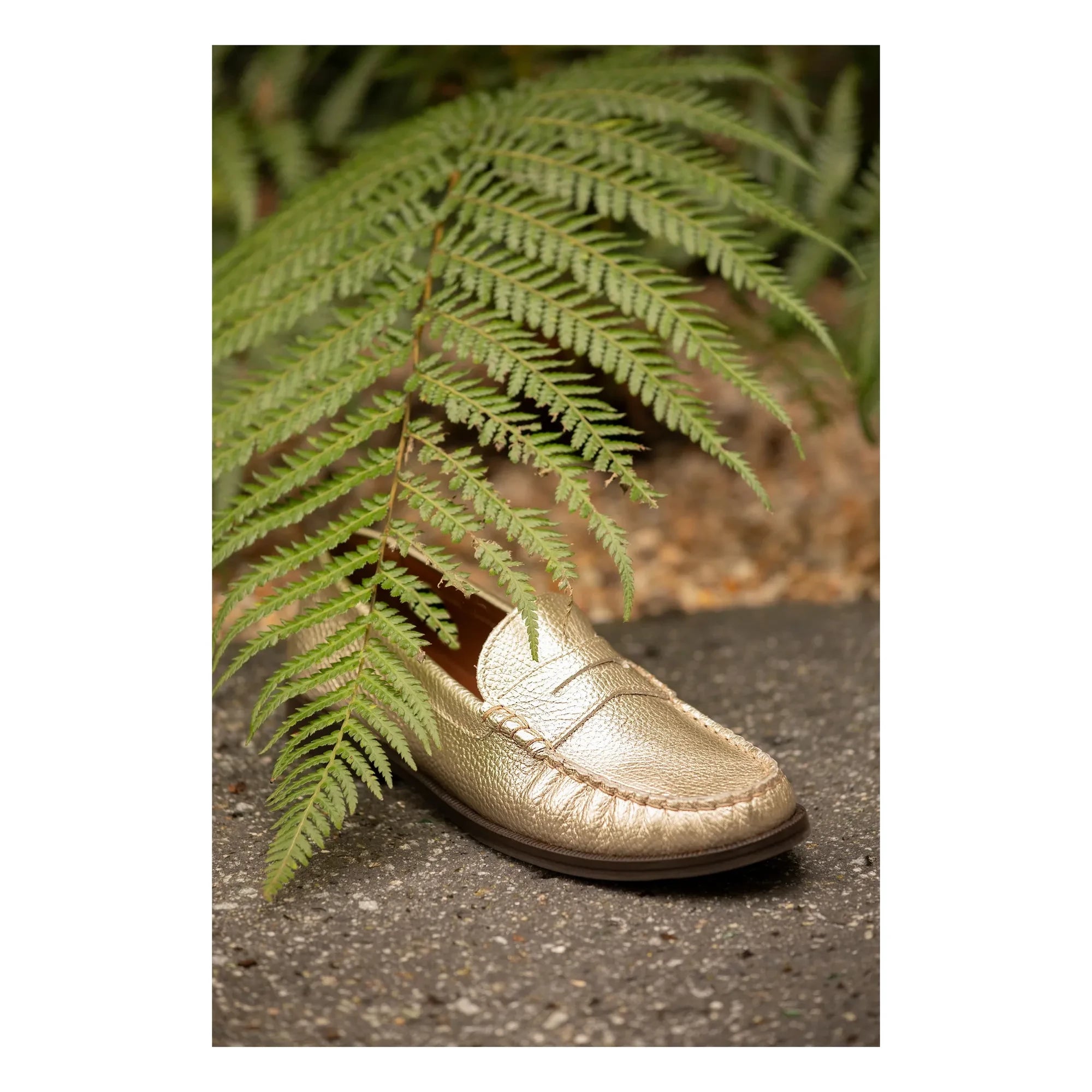 Lachoix - Metalik Penny Loafer | Şampanya