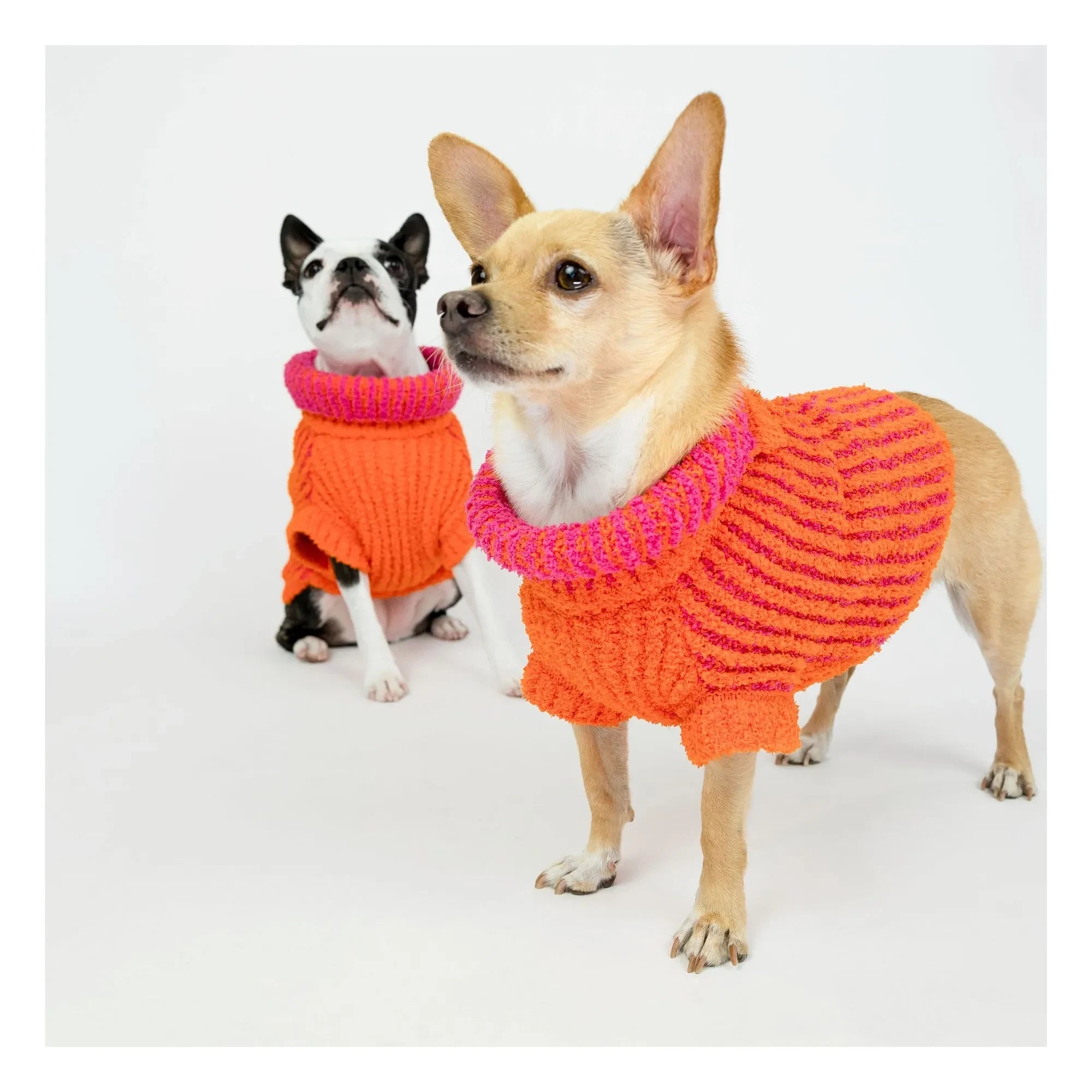 The Furry Folks - Ribbed Pullover | Orange