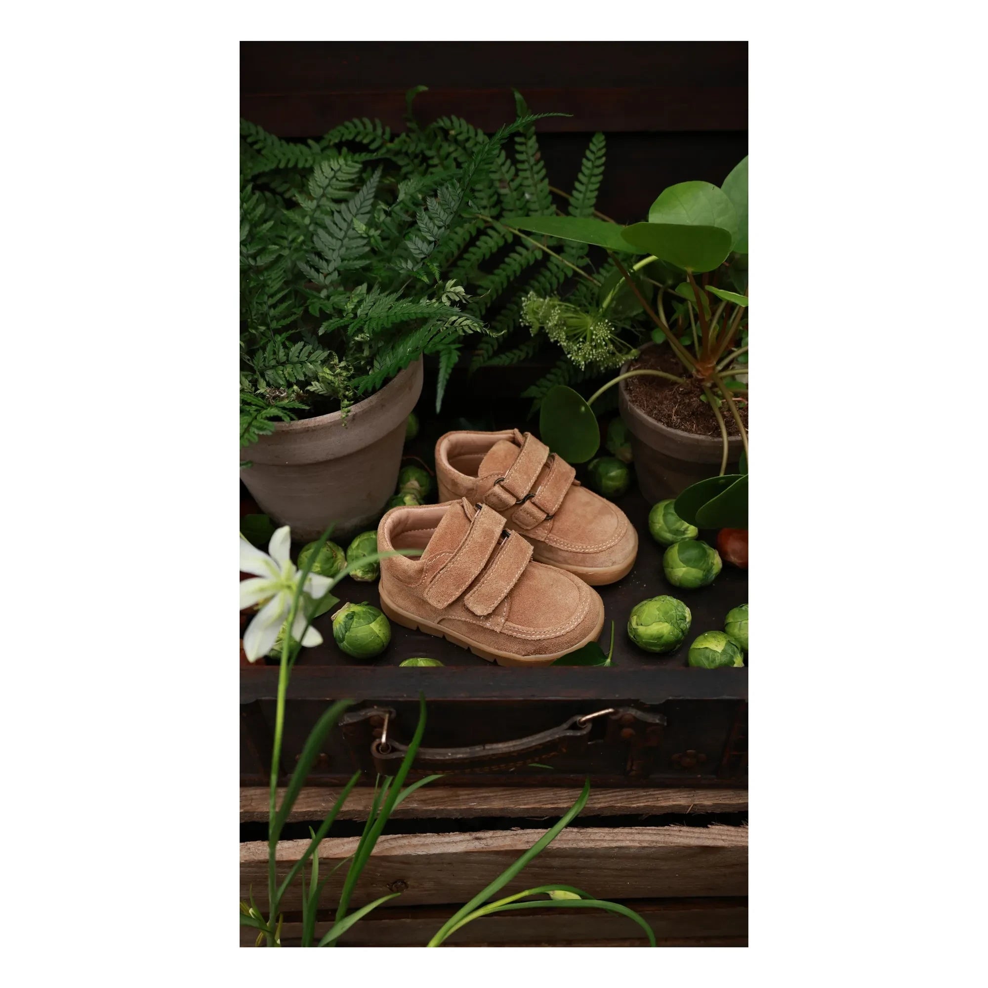 Petit Nord - Chubby Cruiser Scratch Sneaker | Beige