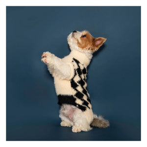 The Furry Folks - Pixmond Pullover | Schwarz