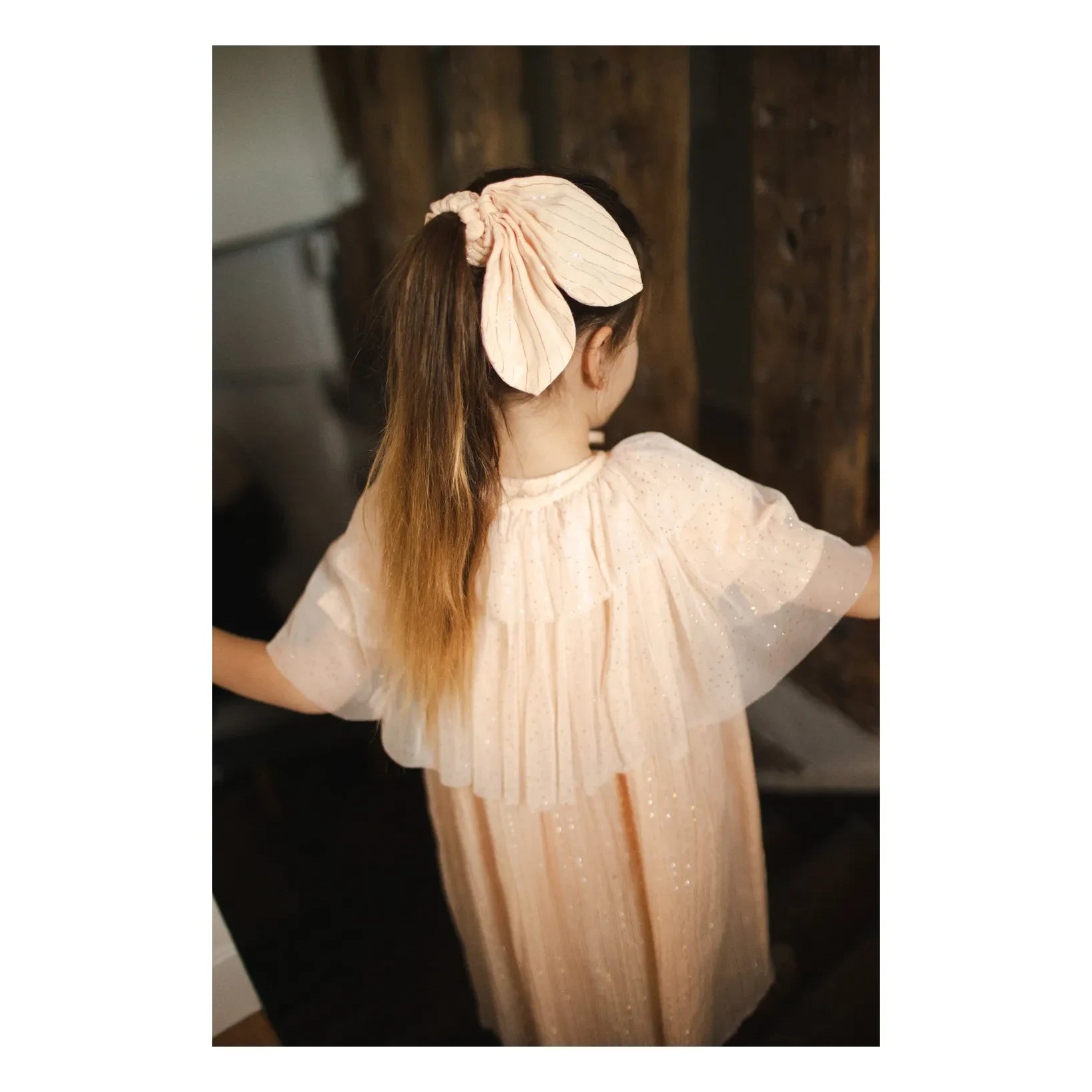 Louis Louise - Gestreiftes Libellen-Haargummi | Blassrosa