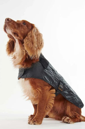 Barbour Köpek Montu