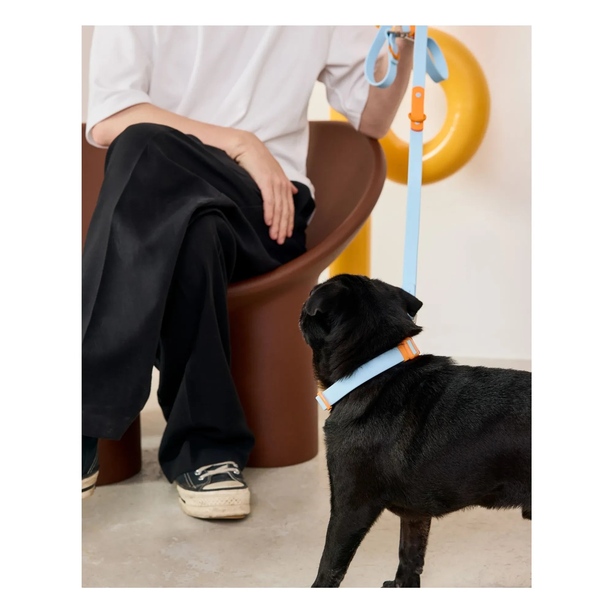 Approved by Fritz - Ayarlanabilir köpek tasması | Açık mavi