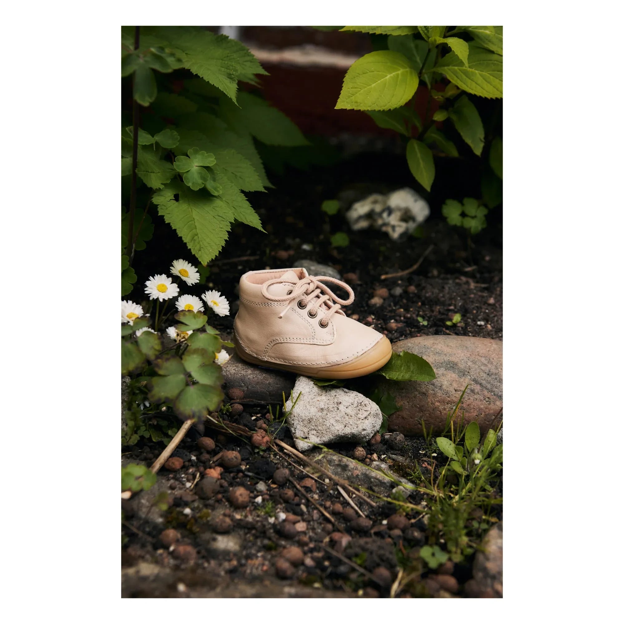 Petit Nord - Bootie Bağcıklı Sneakers | Krem
