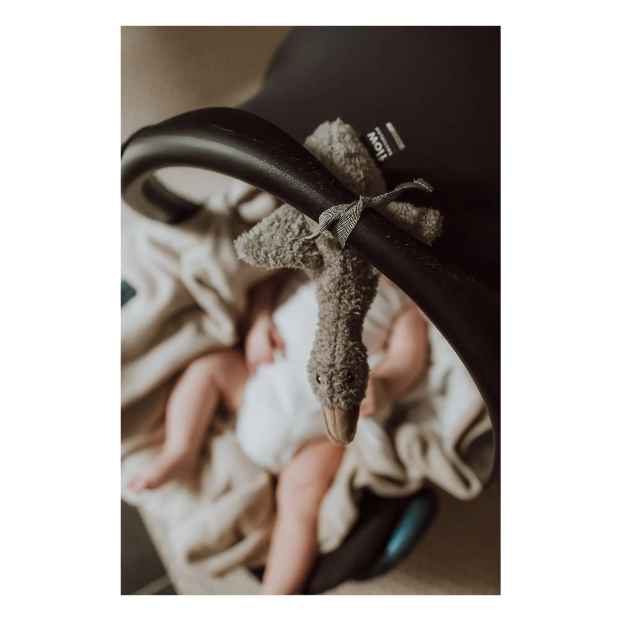 Flow - Liva white noise nomad Plüsch | Grau