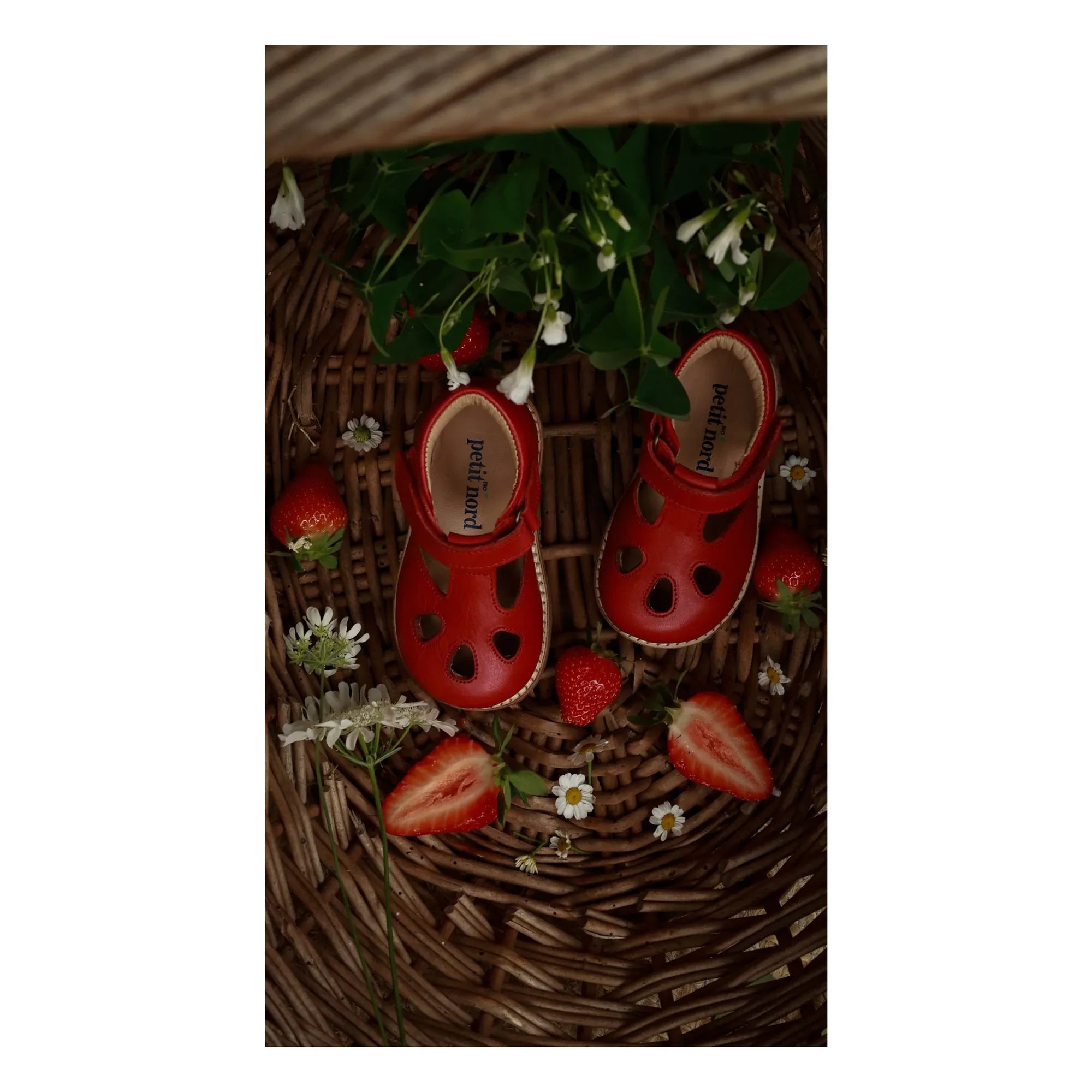 Petit Nord - T-Neck for Babies | Poppy