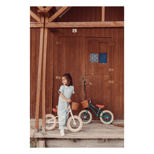 Banwood - Go First Push Bike 12" | Rosa