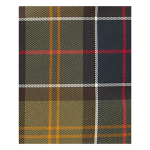 Barbour - Torridon Tartan Çanta | Yeşil