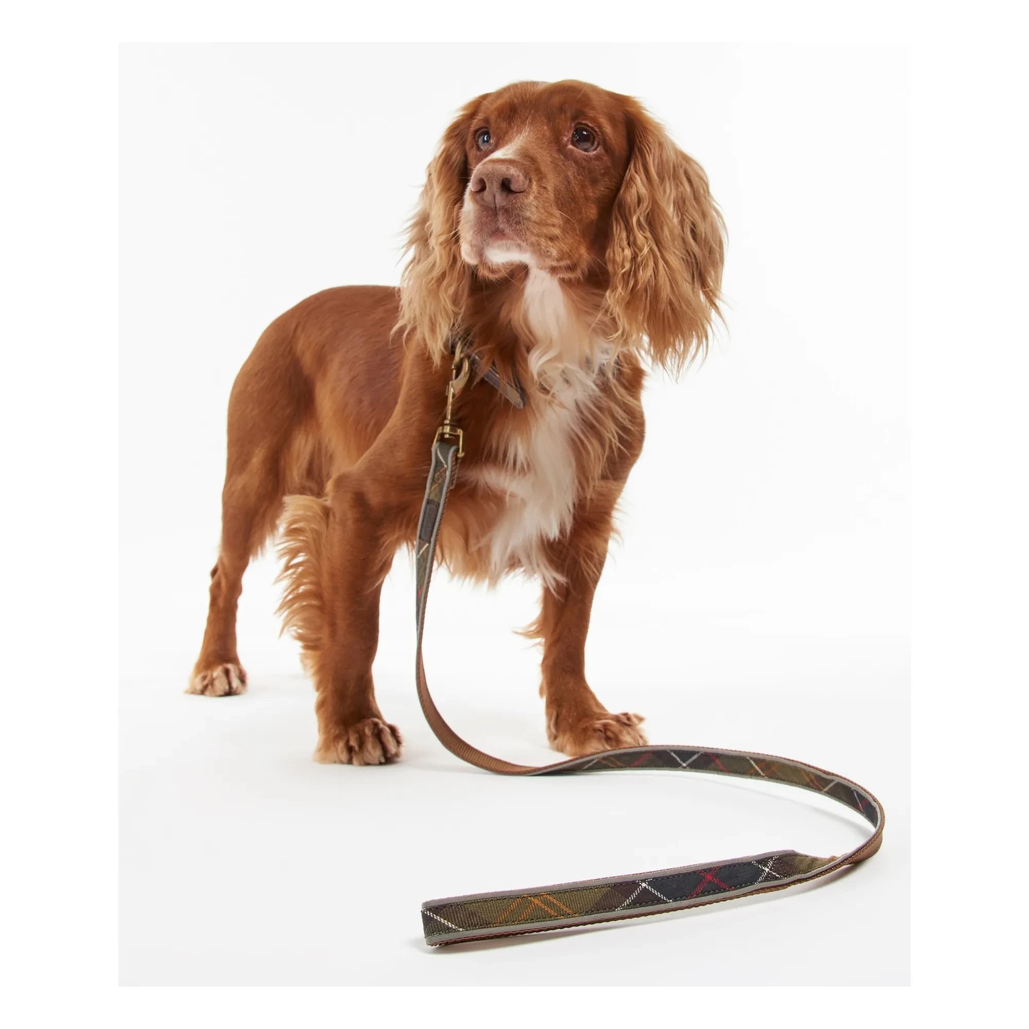 Barbour - Tartan Reflective Dog Collar | Taupe Brown
