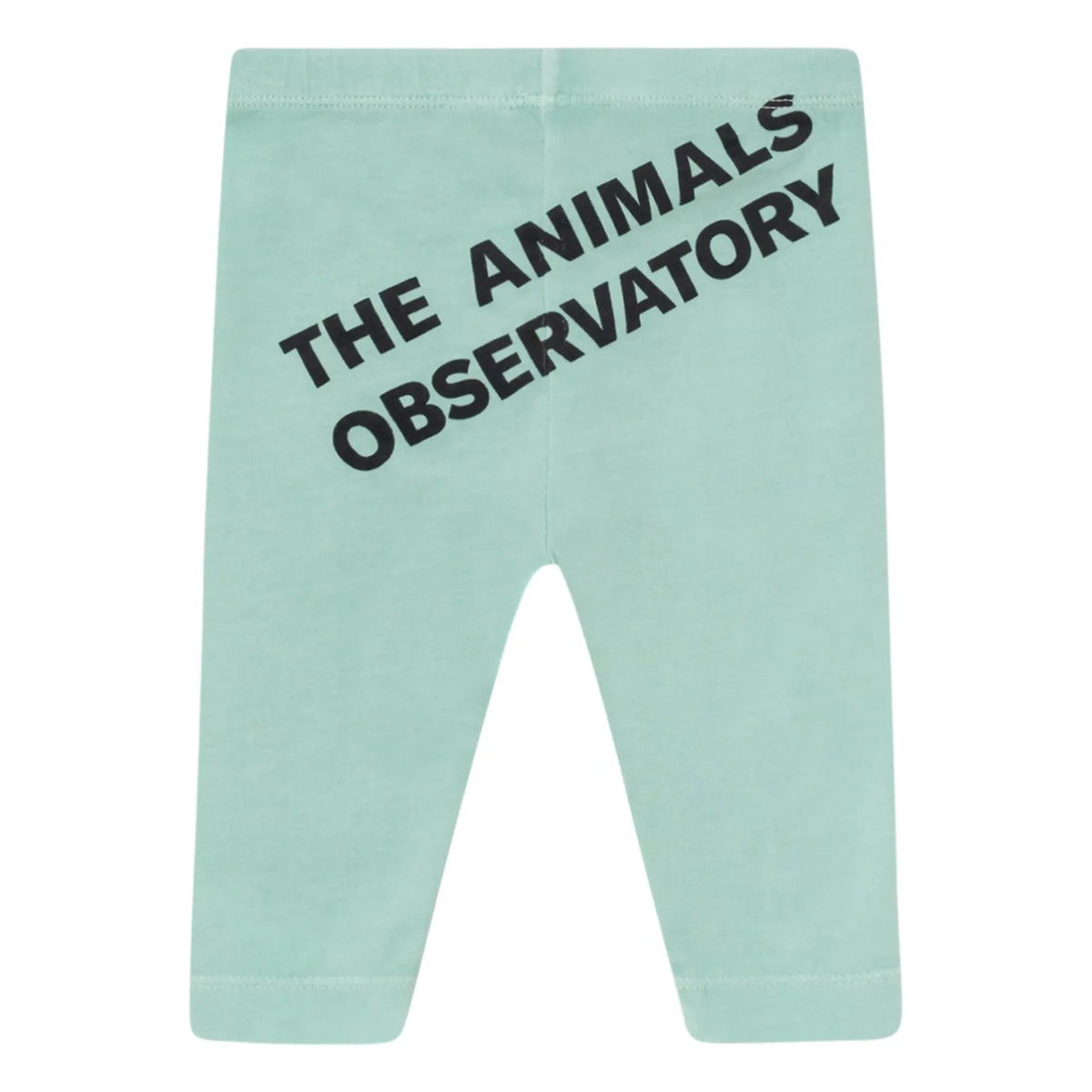 The Animals Observatory - Penguen Tayt | Açık Mavi