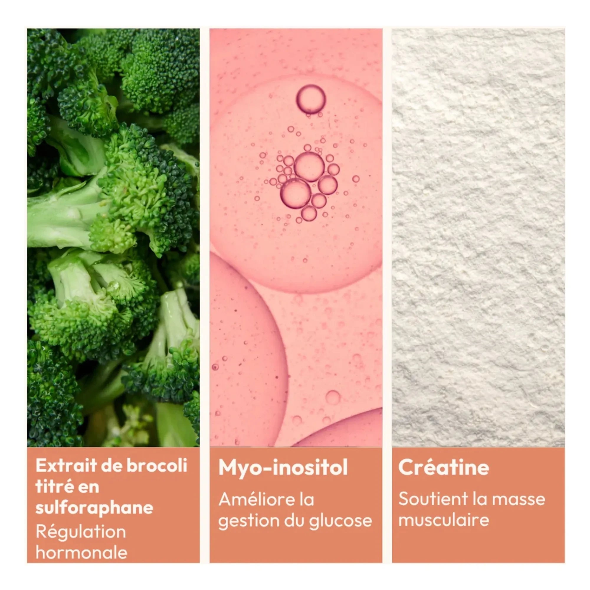 MiYé - Essentielle Stoffwechsel Aktivatoren - 153g