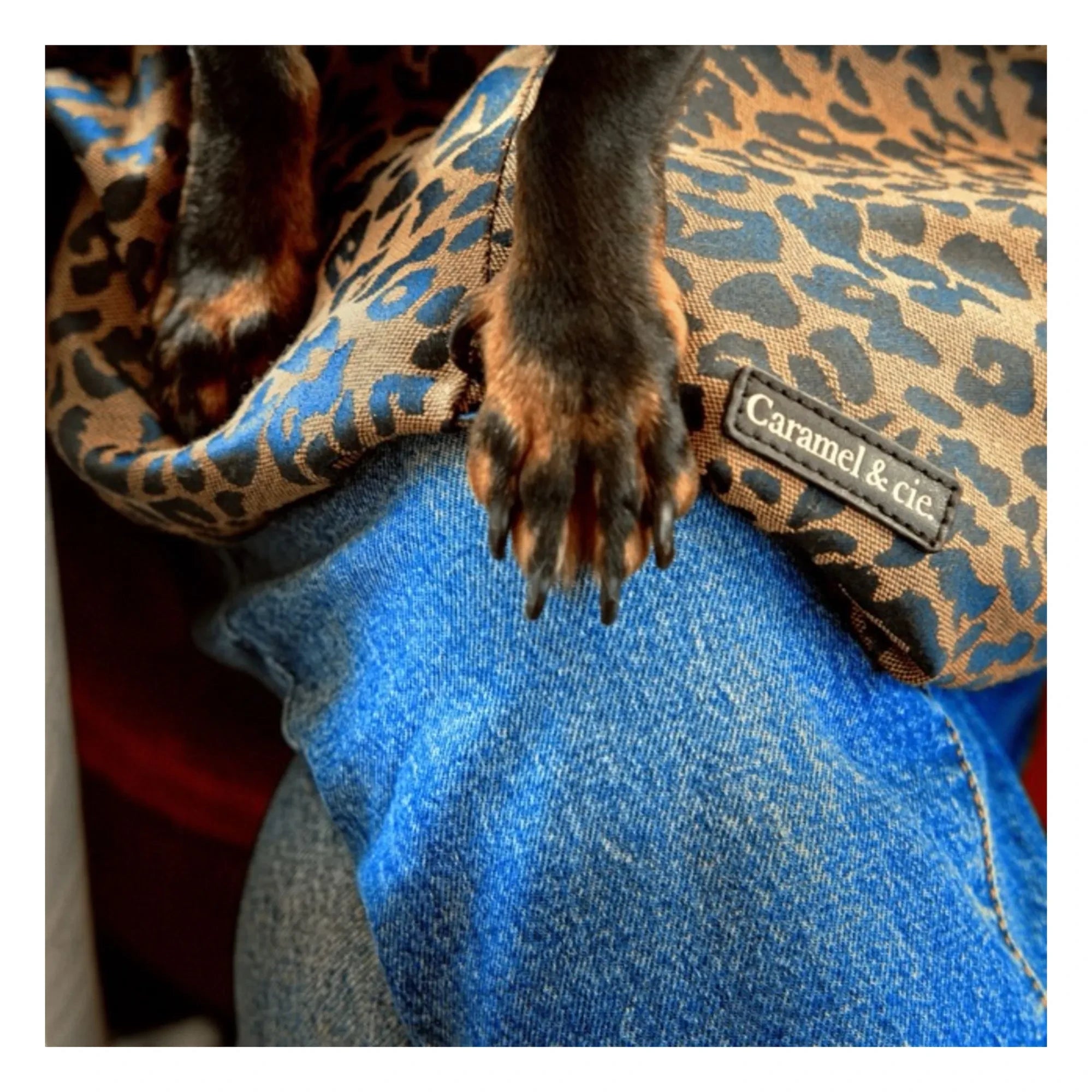 Caramel & Cie - Leopar Köpek Desenli Promenade Cross Body Çanta | Kahverengi
