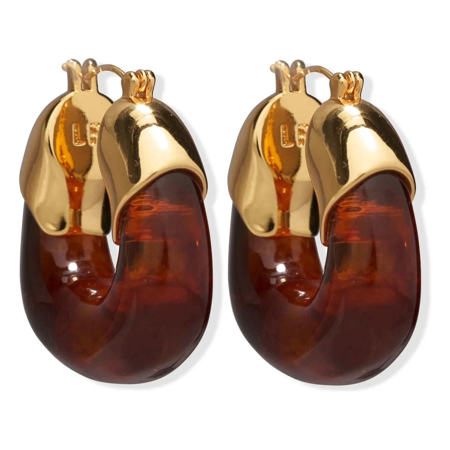 Lizzie Fortunato - Organic Hoop Earrings | Brown