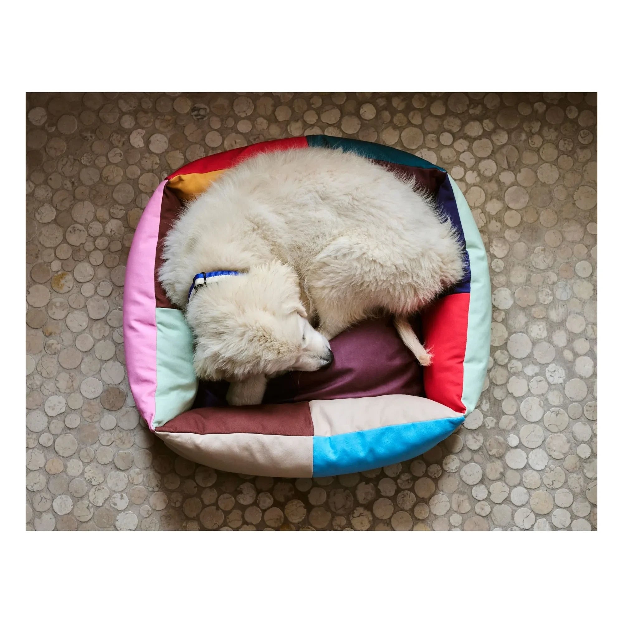 Hay - Köpek yatağı