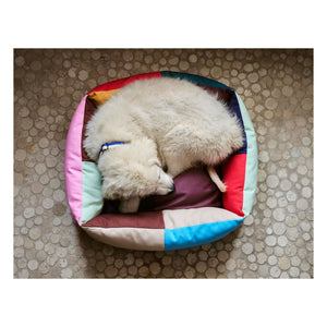 Hay - Köpek yatağı
