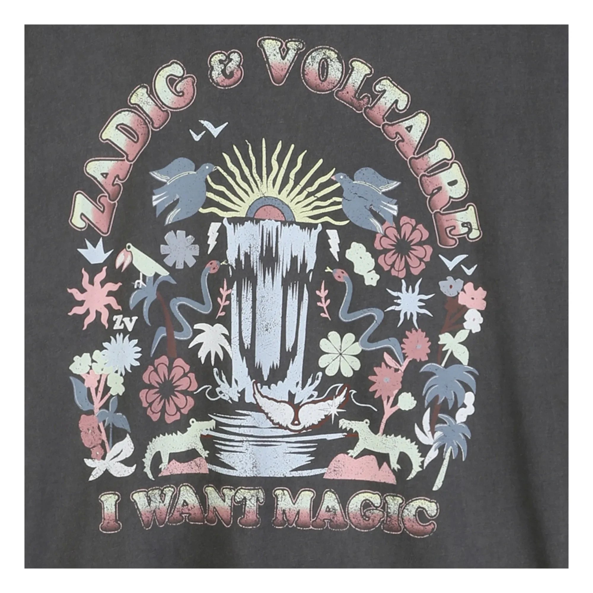 Zadig & Voltaire – I Want Magic Oversize T-Shirt | Dunkelgrau