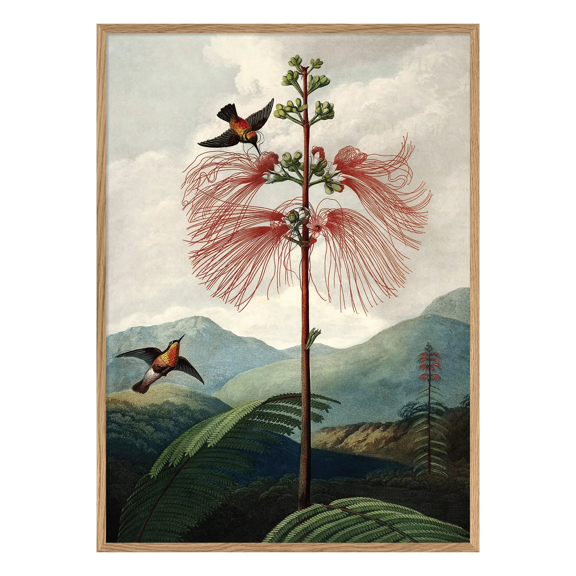 The Dybdahl Co. - Der Blumenbaum-Poster