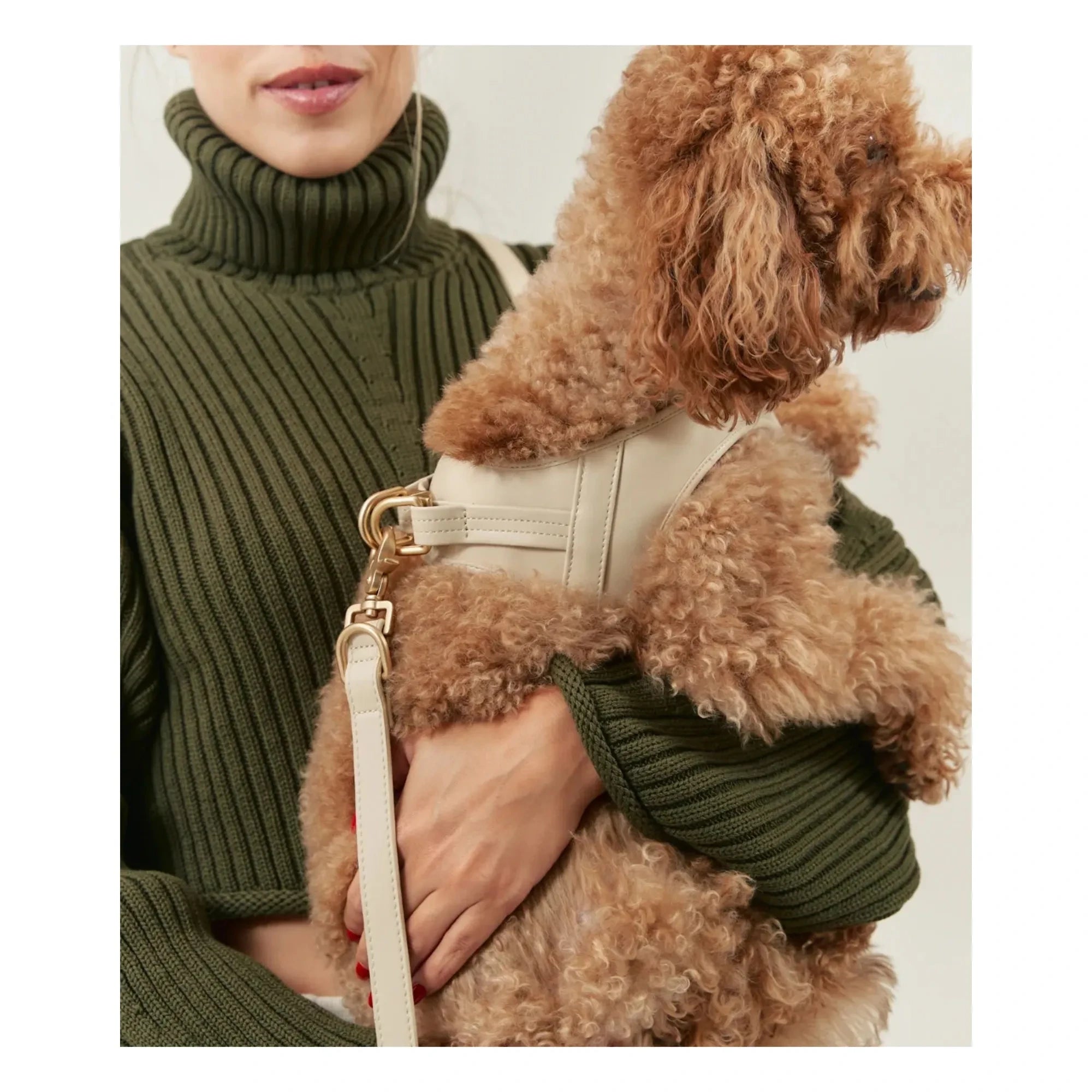 Cafide - Veganes Hundehalsband aus Leder | Beige