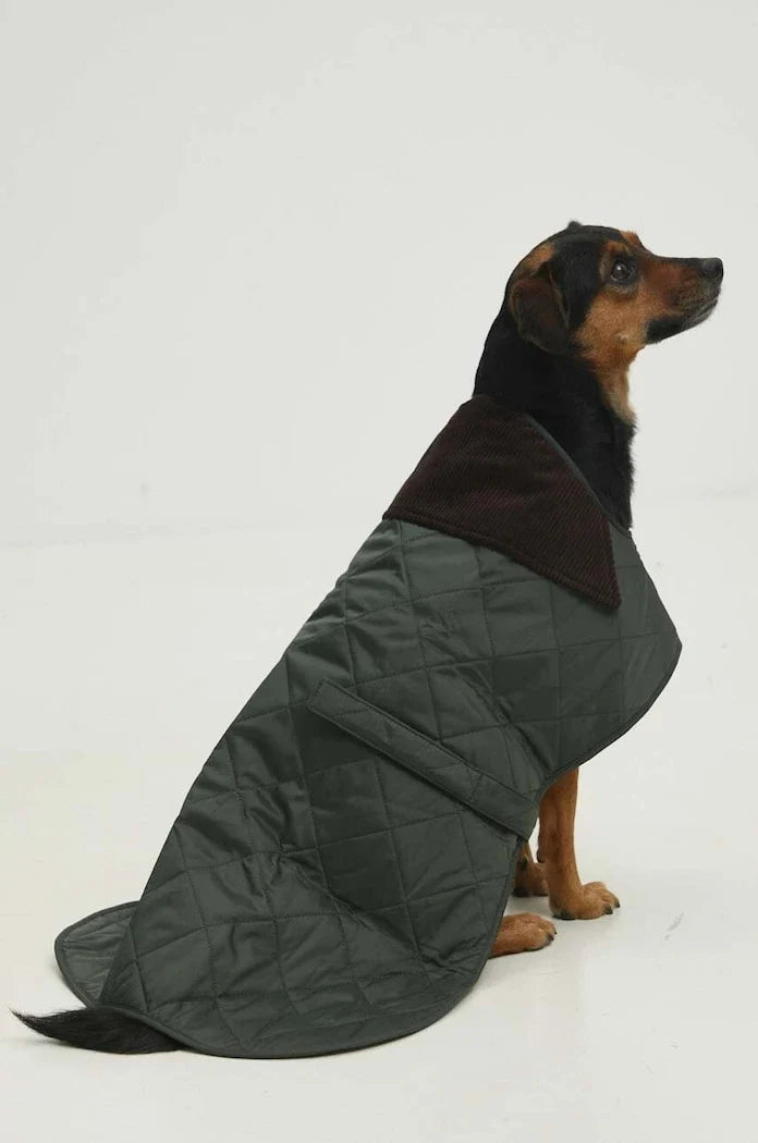 Barbour Köpek Montu