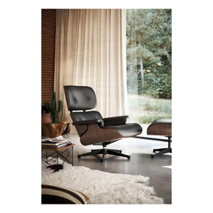 Vitra - House Bird dekoratif kuş | Noyer Massif