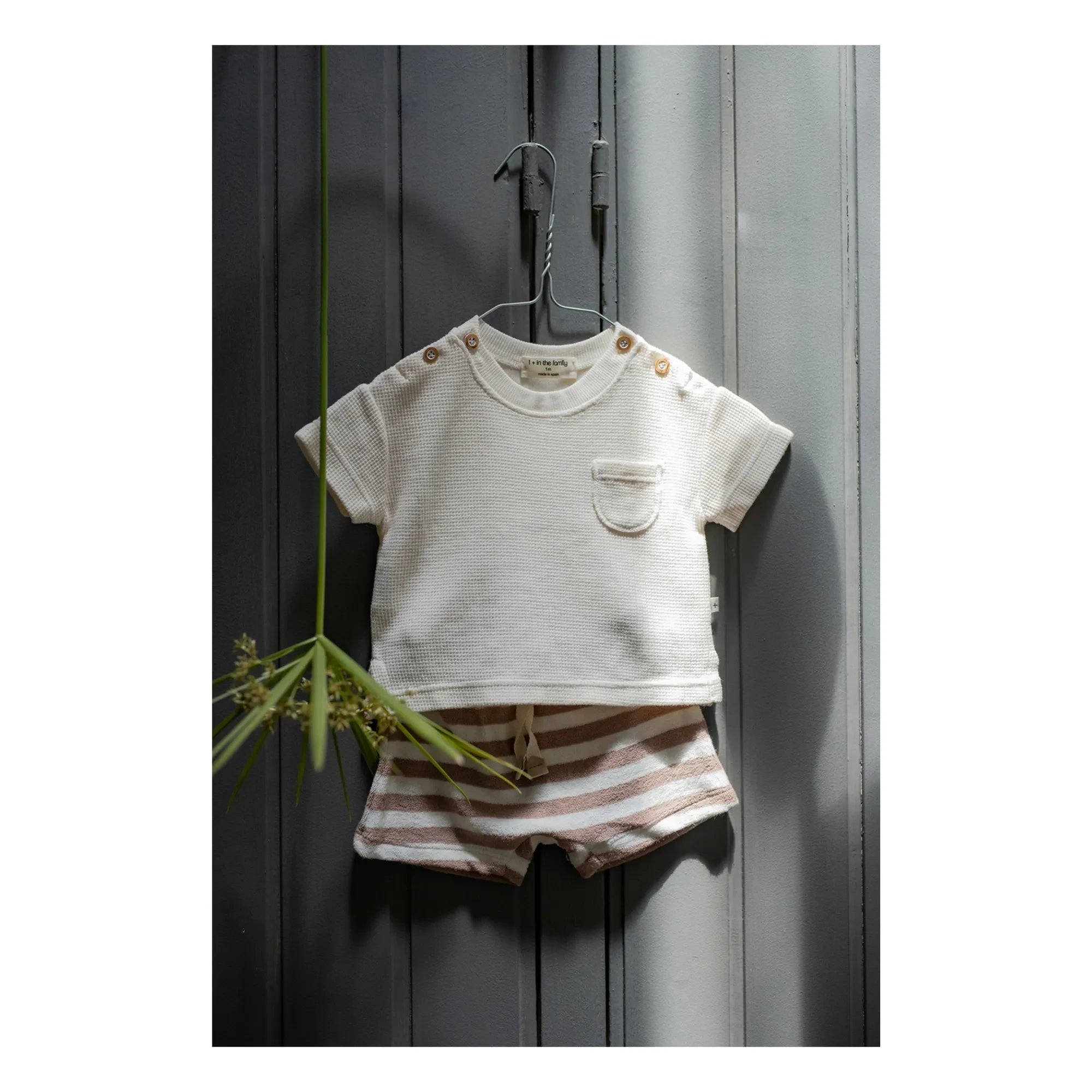 1+ in the family - Feres Gestreifte Frottee Bermuda Shorts | Taupebraun