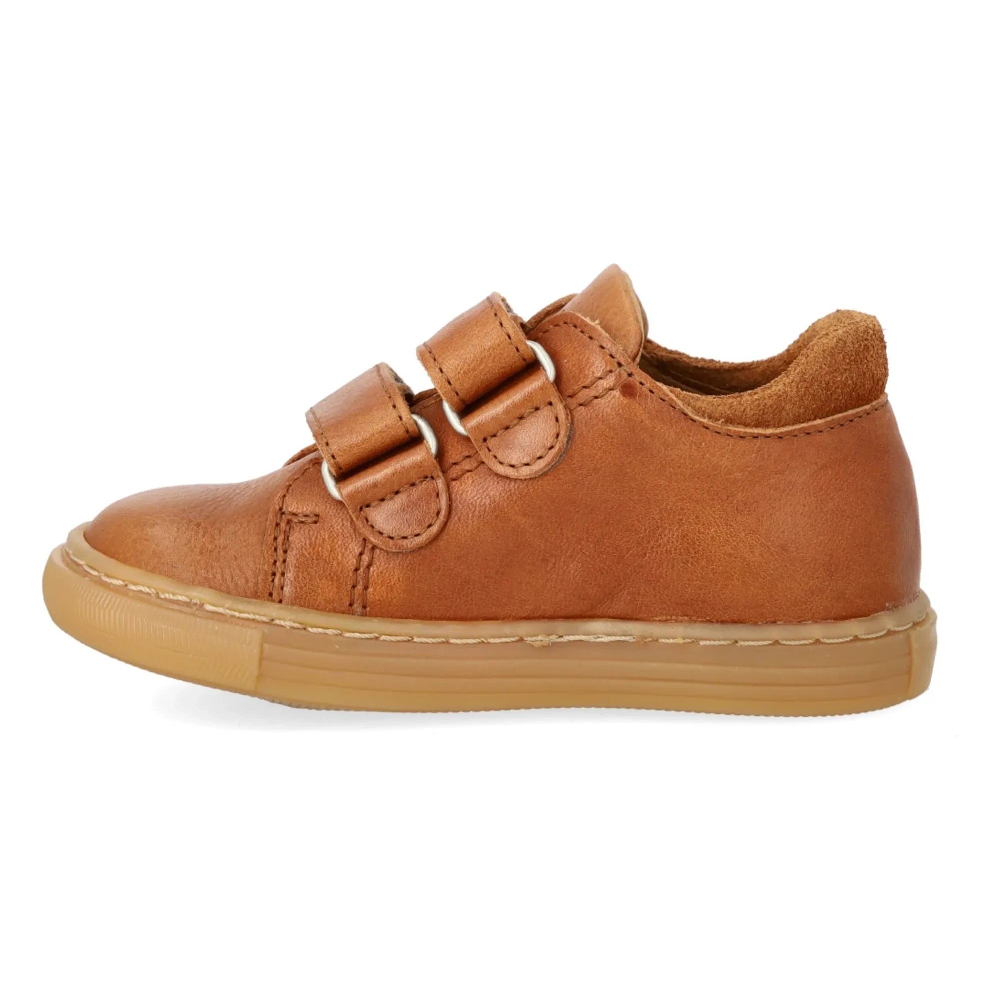 Angulus - Soleil Scratch Sneakers | Cognac