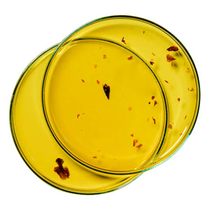 Alaena - Nährendes Rosenblütenöl - 100 ml