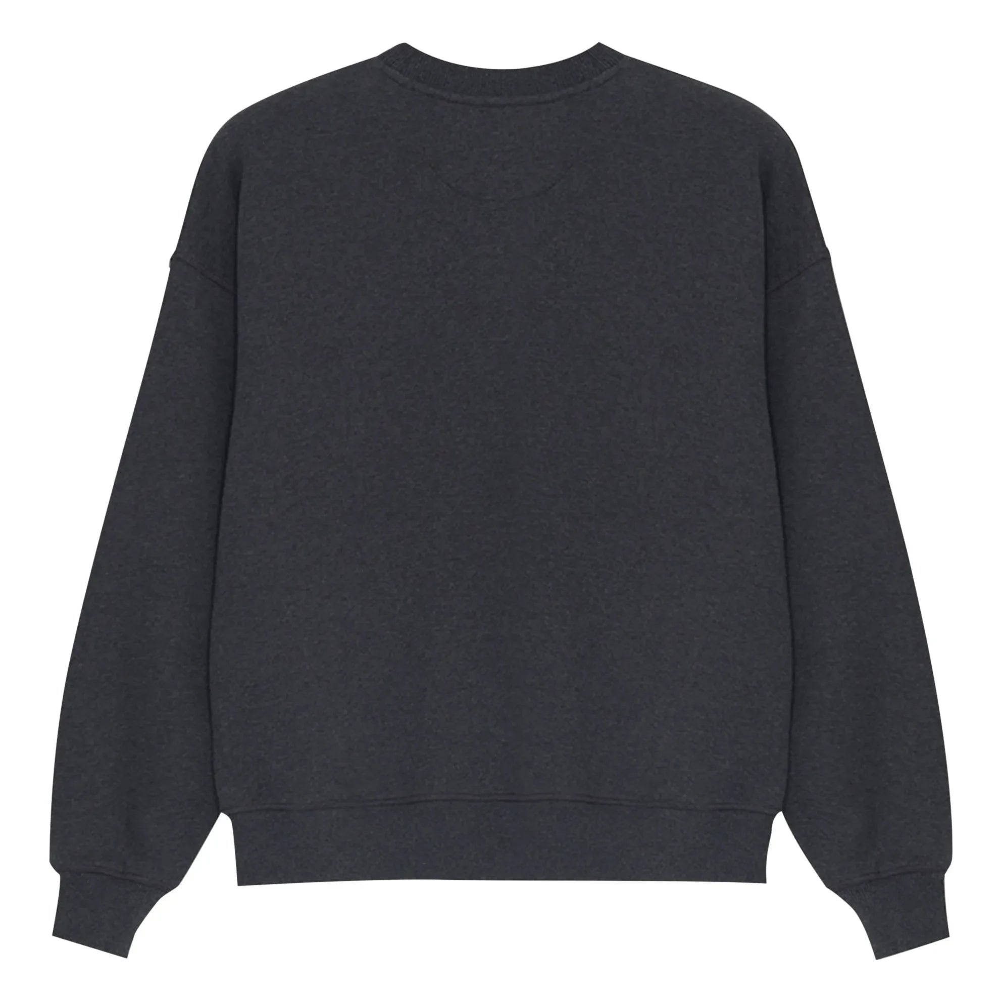 the new society - TNS Logo sweatshirt | Koyu gri melanj