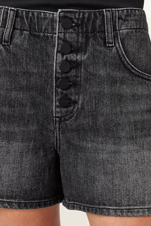 AllSaints kadın denim şort TAY