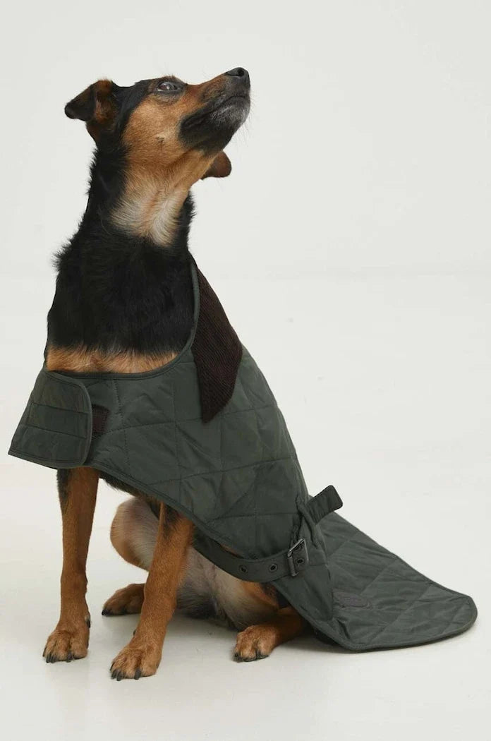 Barbour Köpek Montu