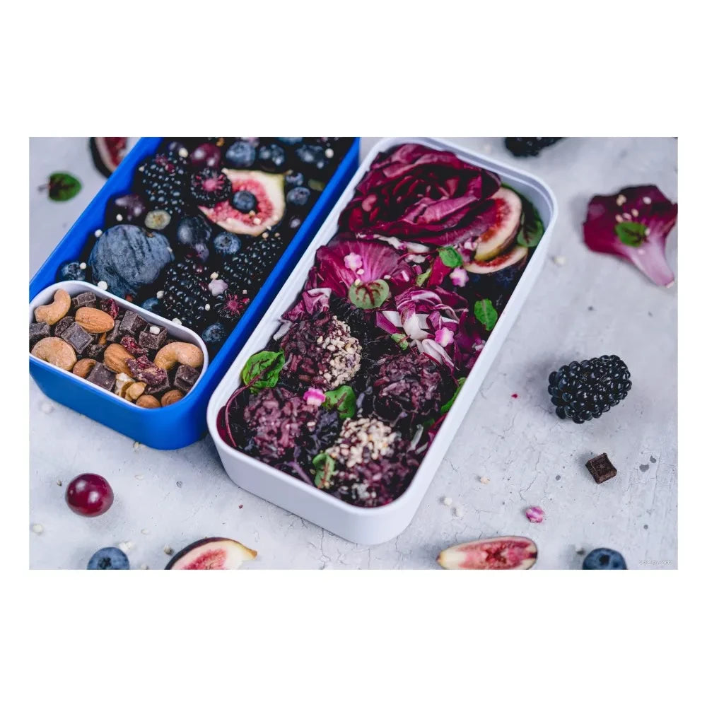 Monbento - MB Original Bento, 2 Airtight Compartments | Black