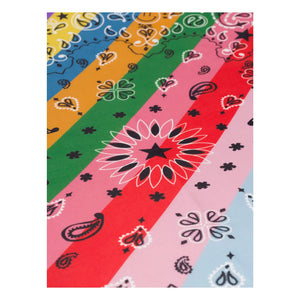 Call it by your name - Bandana Small Rainbow Silk | Mavi