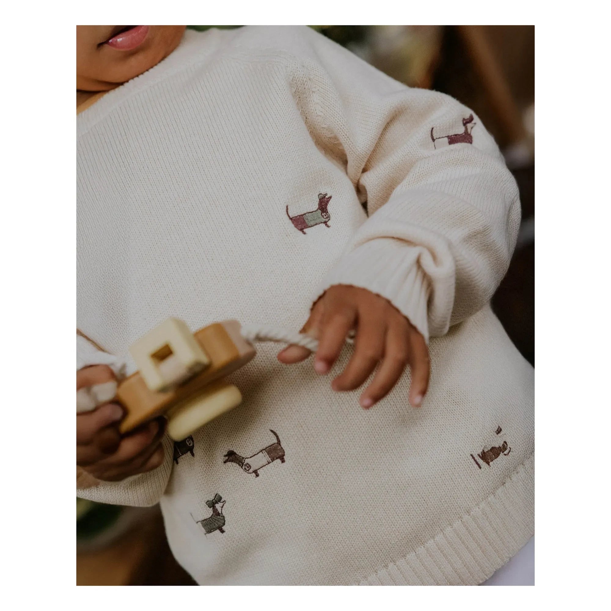 Fliink - Mahdi Dogs Organic Cotton Sweater | Ecru