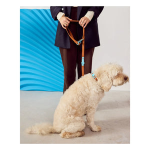 Approved by Fritz - Köpek tasması | Çikolata