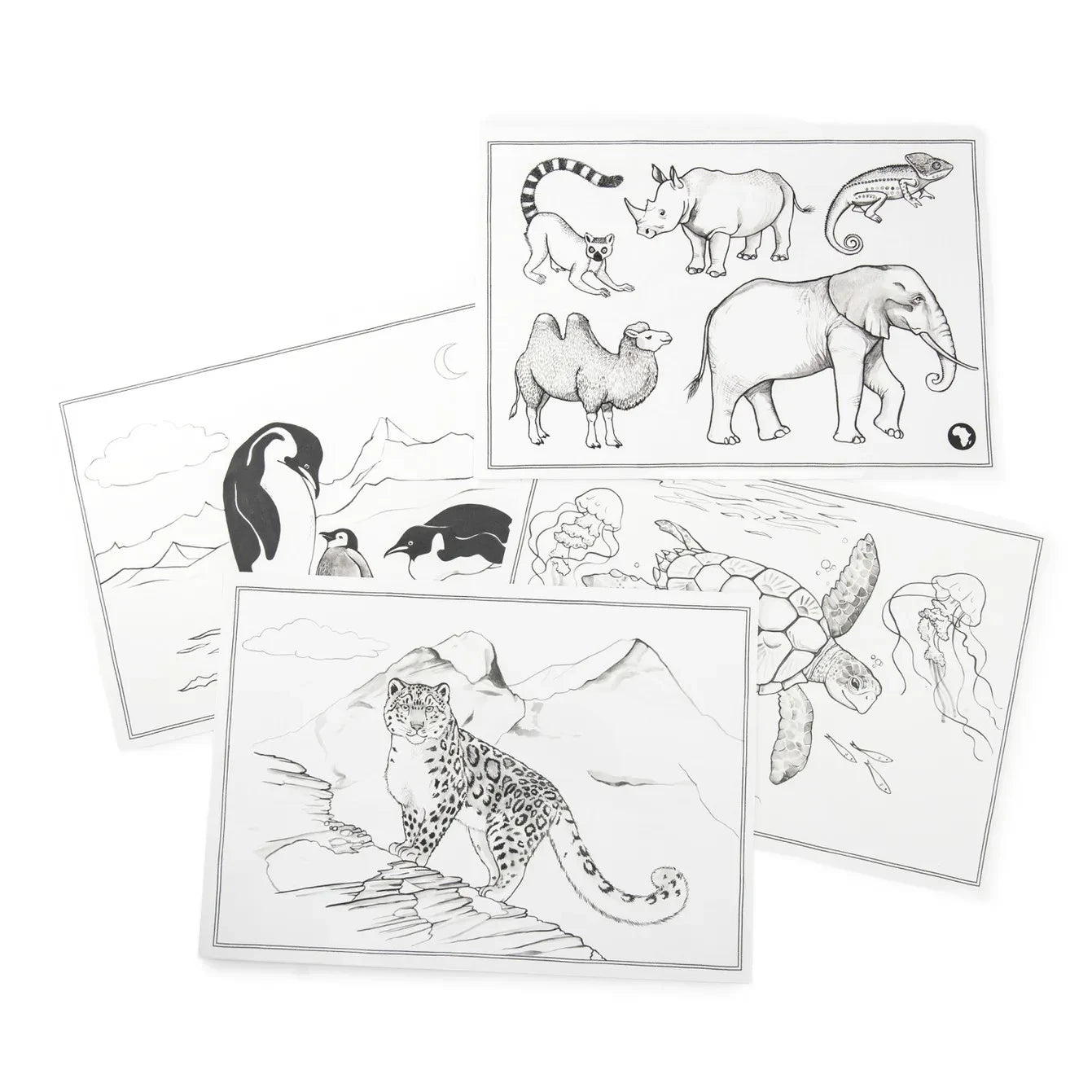 Moulin Roty - Kidywolf Çizim Yedekleri - Dünyanın Etrafında