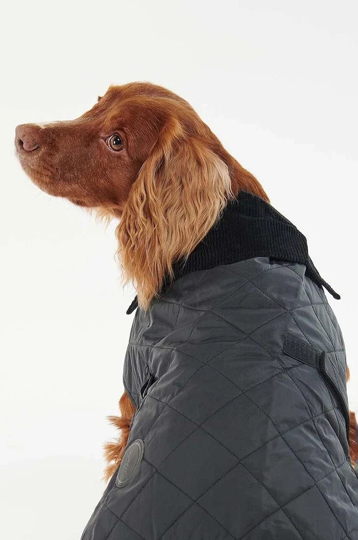 Barbour Köpek Montu