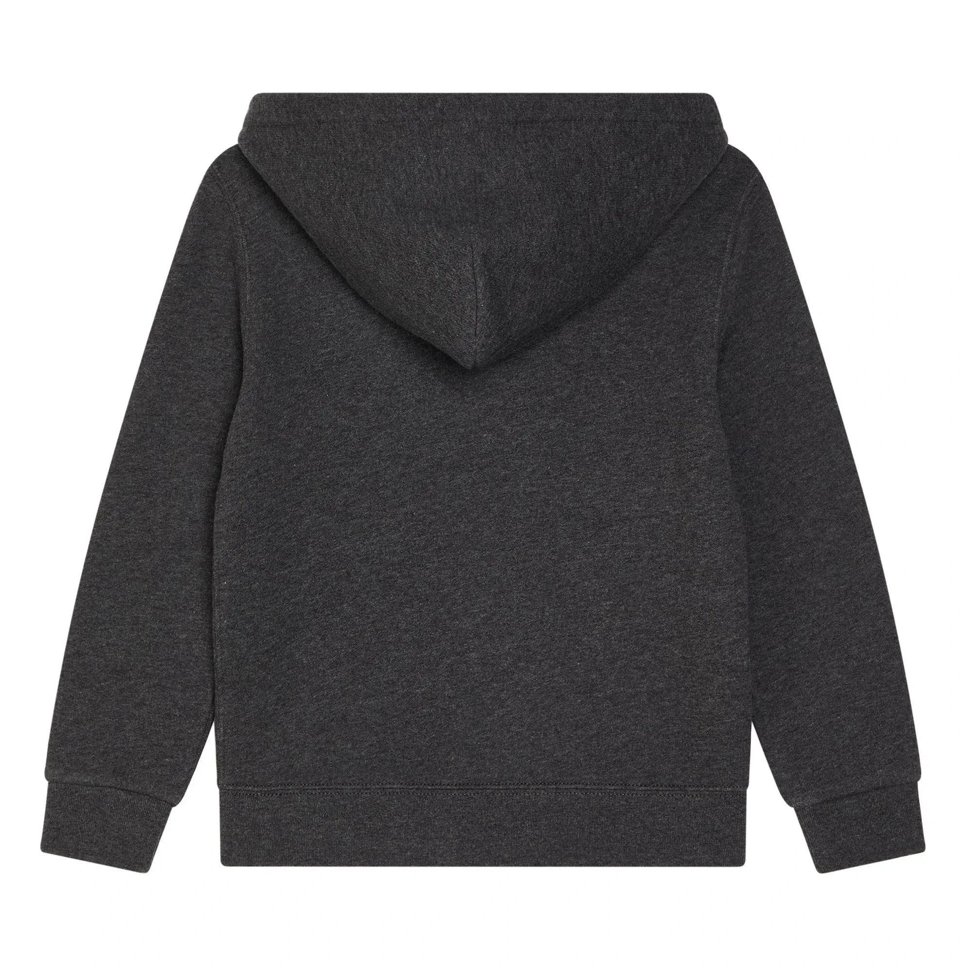Ralph Lauren – Kapuzenpullover mit Logo | Dunkelgrau