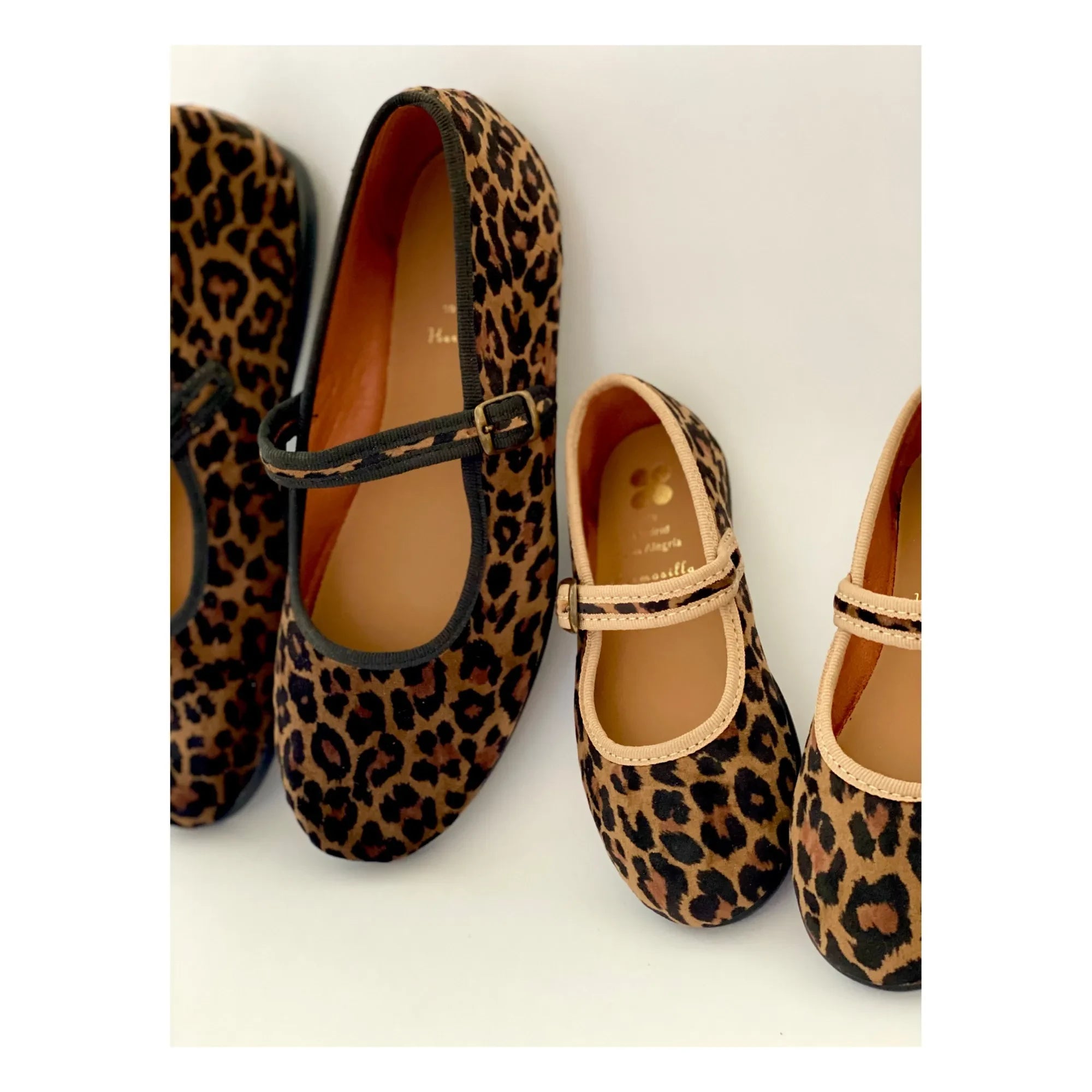 Hermosilla - Faunia Babet | Leopar