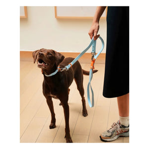 Approved by Fritz - Ayarlanabilir köpek tasması | Açık mavi